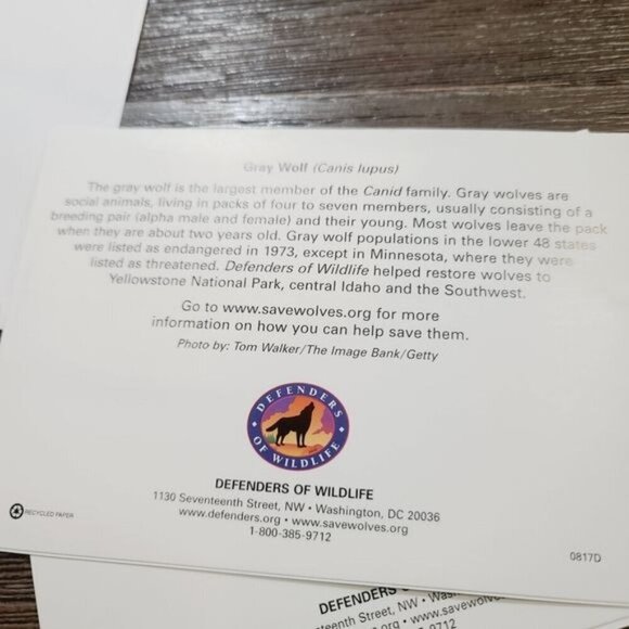 Defenders of Wildlife Gray Wolf Canis Lupus Blank Notecards - Picture 9 of 9